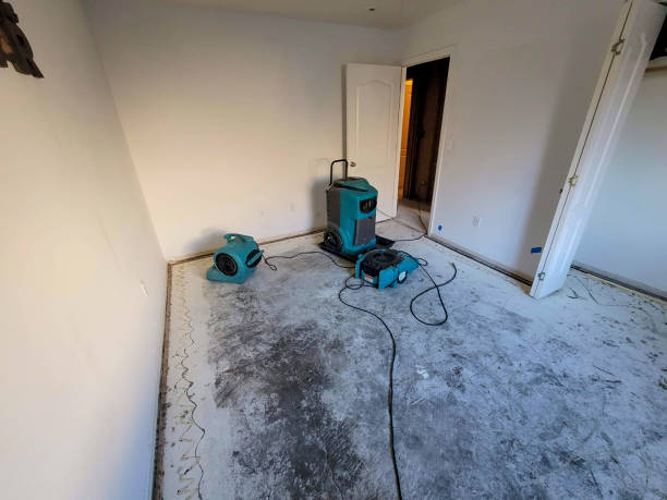 Best Professional water damage repair  in Somersworth, NH