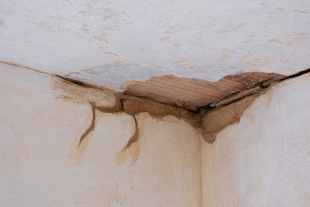 Carpet water damage restoration in Somersworth, NH